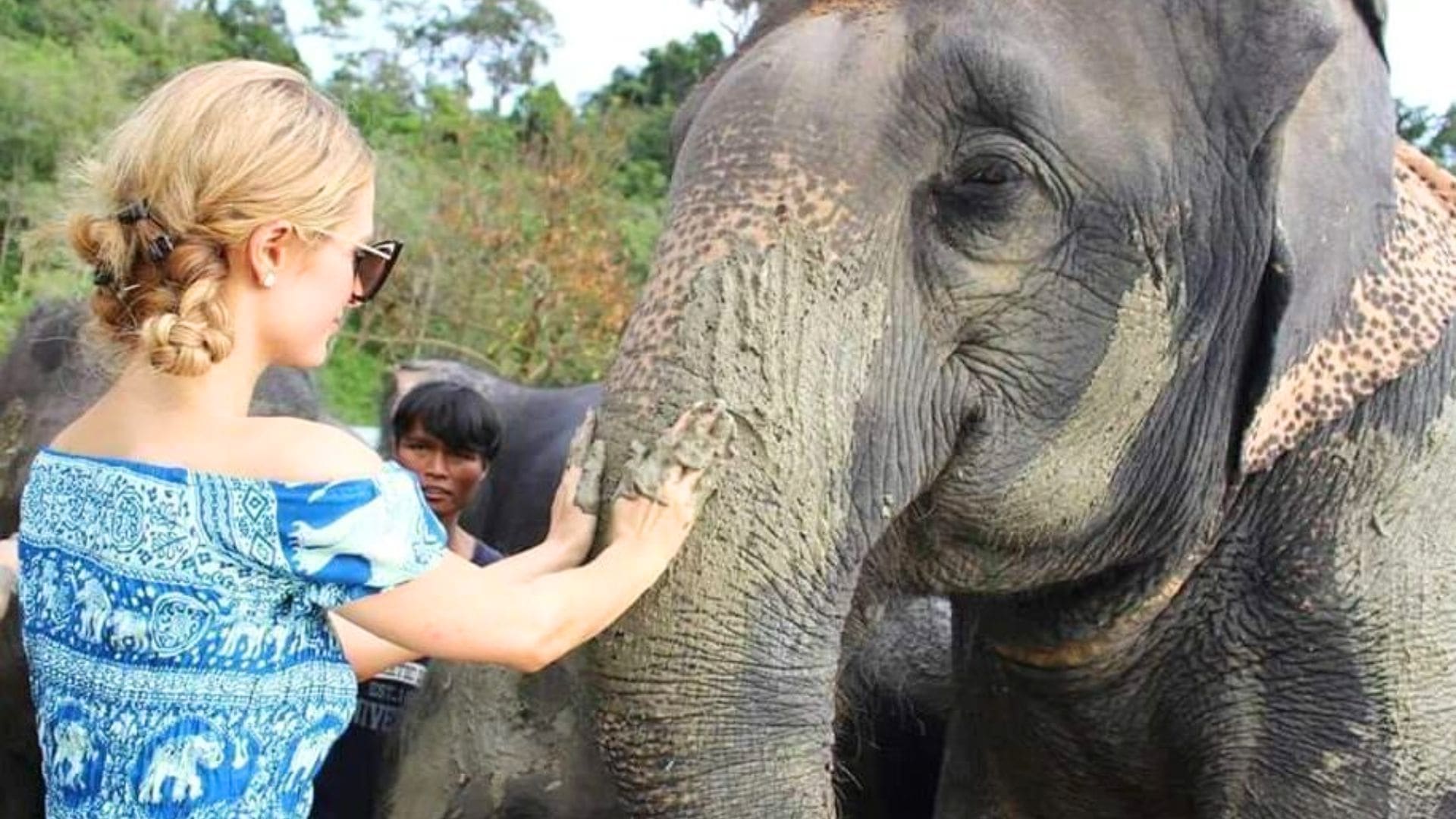 paris hilton elefante