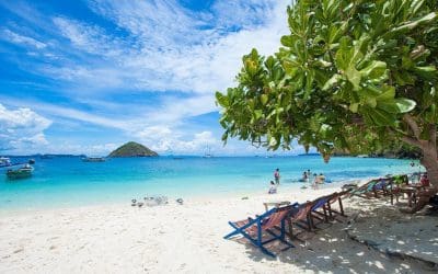 Spiaggia di sabbia bianca con lettini all'ombra di un albero