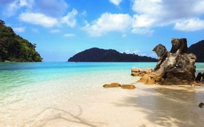 Snorkel en los arrecifes de las islas Surin