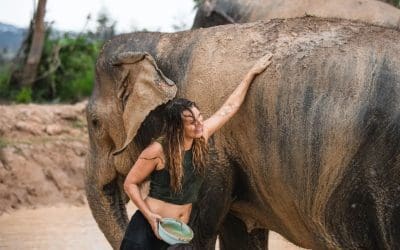 Visitor with a bowl full of mud, resting a hand on an elephant