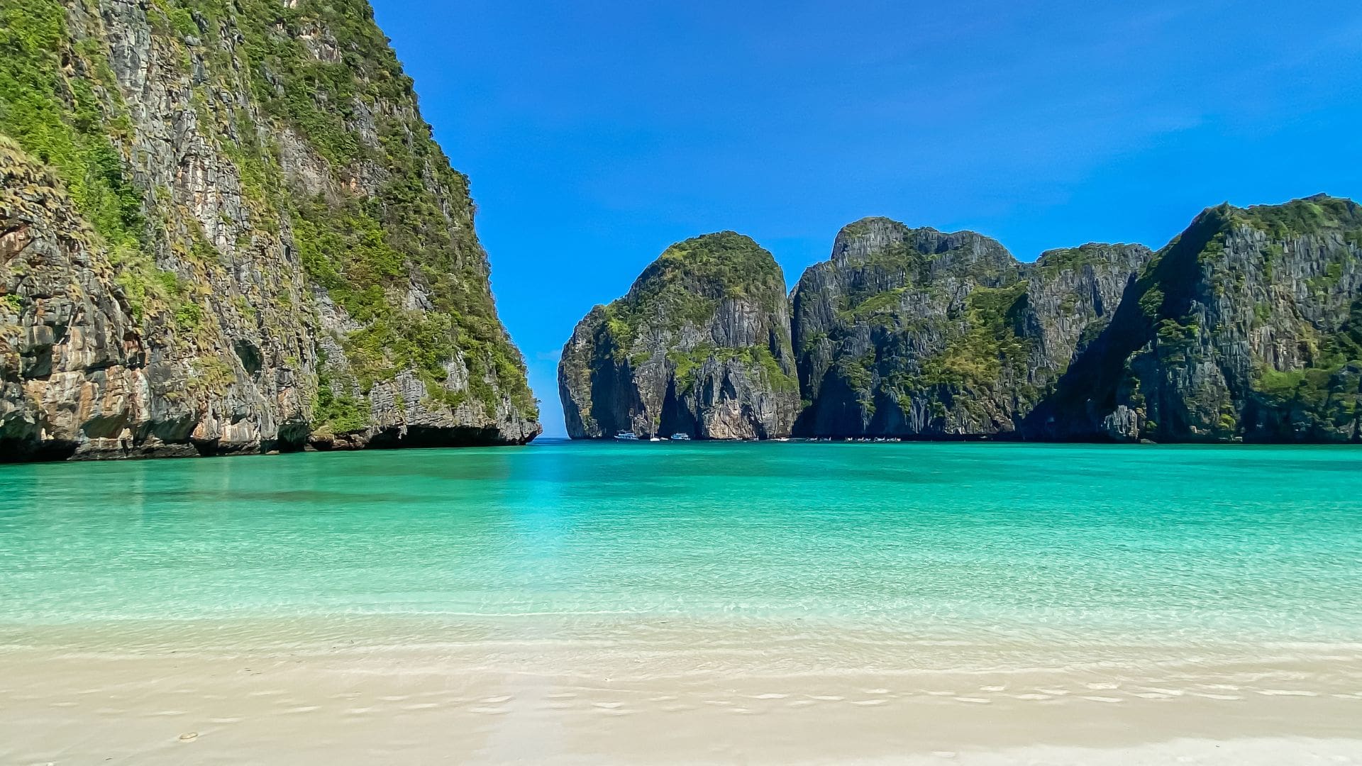 MAYA BAY IN PHI PHI the beach
