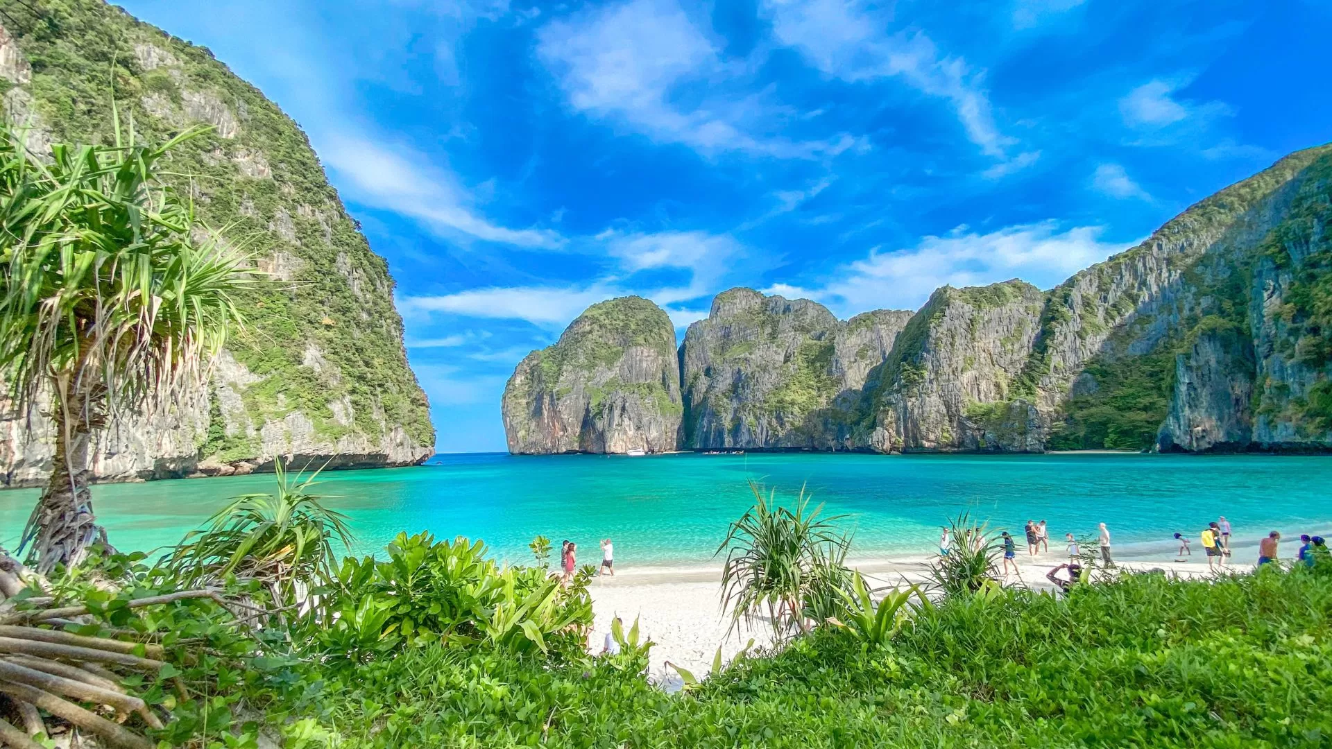 Phi Phi Early Bird 7