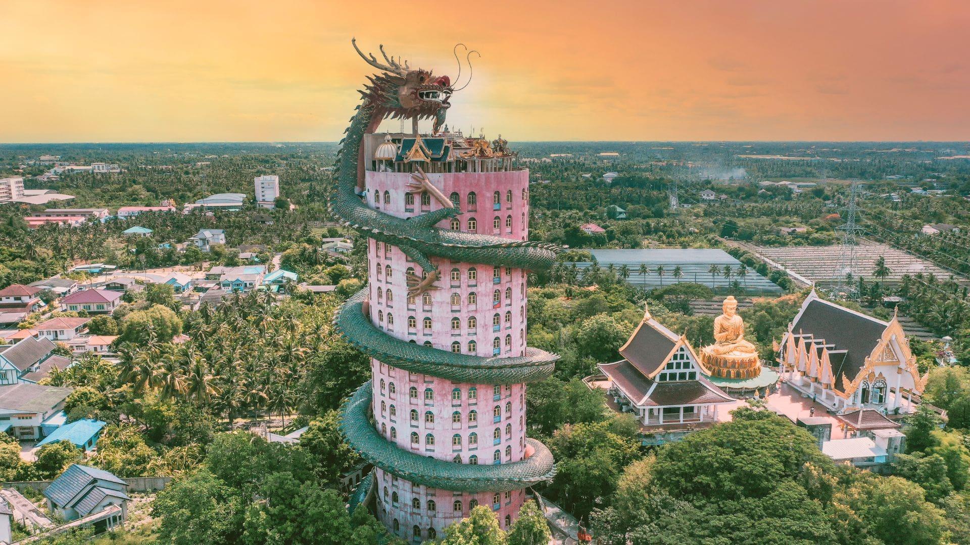 dragon temple